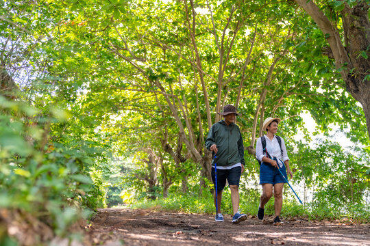 Happy Asian family couple on summer holiday vacation. Mature adult couple hiking together in forest. Man and woman enjoy outdoor lifestyle trekking and looking to green wood on travel vacation.