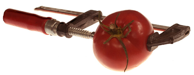 Tomato clamped in a clamp on a white background. Vegetables and locksmith tools.