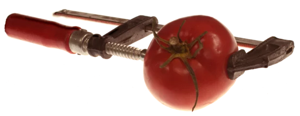 Crédence de cuisine en verre imprimé Légumes frais Tomato clamped in a clamp on a white background. Vegetables and locksmith tools.