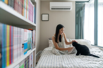 Attractive Asian woman feeding cat Treats to her black cat on the bed in bedroom. Happy girl enjoy indoor lifestyle playing with scottish straight kitten at home. Pets owner relationship concept