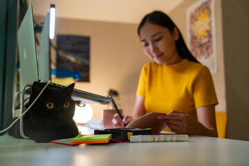 Cute black cat playing on the desk while his owner working on laptop computer at night. Asian woman...