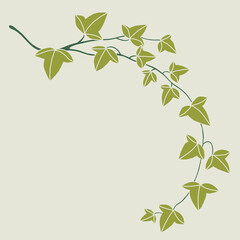 Simplicity ivy freehand drawing flat design.