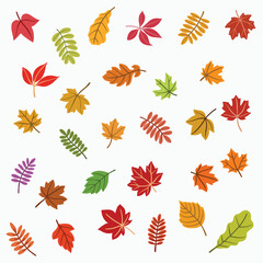 Simplicity maple freehand drawing flat design.