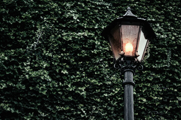 street lamp in the night