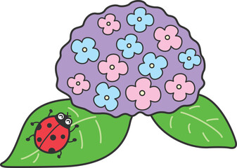 てんとう虫とあじさい
