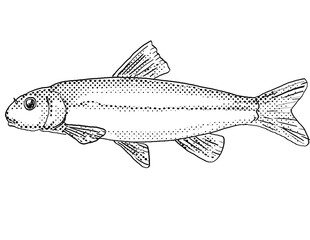 Cartoon style line drawing of a Exoglossum maxillingua or cutlips minnow freshwater fish endemic to North America with halftone dots shading on isolated background in black and white.