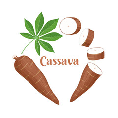 Vector illustration, cassava root (Manihot esculenta, also known as manioc) and leaves, isolated on white background, as a banner, poster or national tapioca day template.
