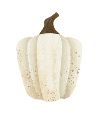 Watercolor pumpkin illustration 