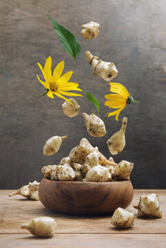 Jerusalem artichoke levitation concept. Roots, flowers and leaves of fresh organic topinambur or Helianthus tuberosus. Tubers of sunroot, sunchoke or earth apple. Diabetic friendly food with insulin.