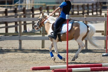 Little girl that rides a white pony during Pony Game competition at the Equestrian School