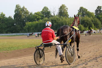 Horse and rider running  at horse races