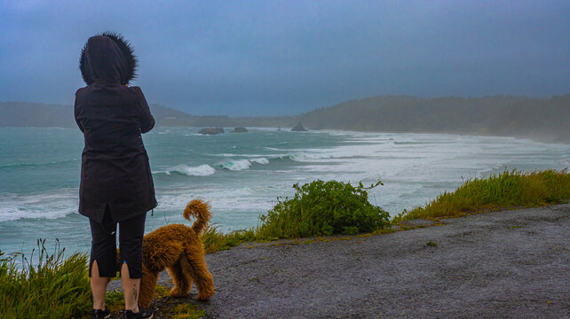  woman and dog admiring  beach