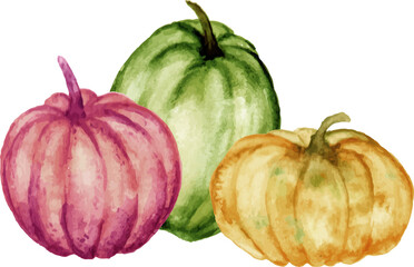 pumpkins isolated on white