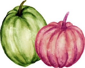 red and green pumpkin