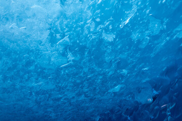Mendenhall Glacier Cave