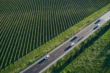 Beautiful car road diagonally between vineyards aerial view. The movement of cars at sunset between...