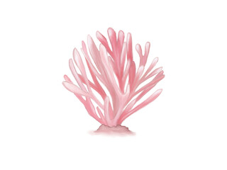 Pink sea coral. Idea for stickers, books , children’s art, print 