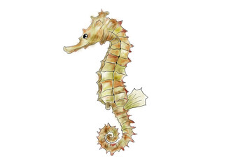 Illustration of ocean cute seahorse. Idea for books, cartoon, children’s art