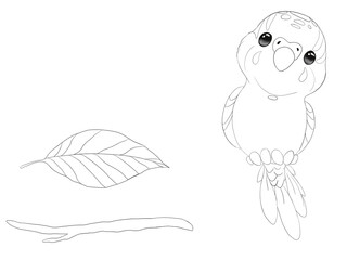 Black and white graphic art illustration of cute little parrot with leaf . Idea for icon, stickers, children’s art, cartoon, books 
