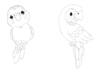 Black and white graphic art illustration of two lovely parrots . Idea for icon, banner, print , cartoon, children’s art, books 