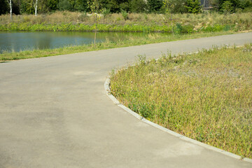 Road in park. Asphalt path and green lawn. Improvement of park. Place for walking.