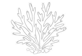 Black and white Illustration of coral. Idea for children’s books ,art 