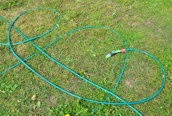 Garden irrigation hose is lying on the lawn on an autumn day