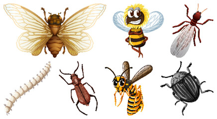 Collection of different insects vector