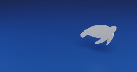 Isolated realistic white sea turtle symbol with shadow. Located on the right side of the scene. 3d illustration on blue background