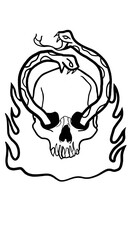 Obraz premium skull and shake