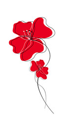 maki kwiaty ilustracja, red poppies