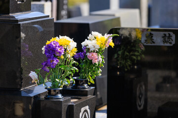 墓に供えられた花