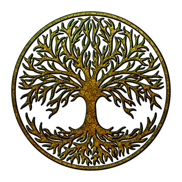 Celtic tree of life, Norse mythology, Yggdrasil, isolated
