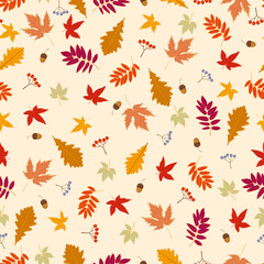 Autumn seamless pattern. Vector illustration.