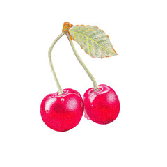 colored pencil red cherry fruit