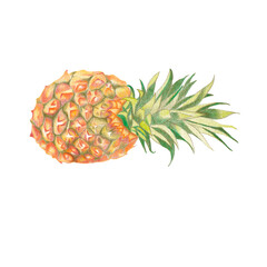 colored pencil pineapple fruit