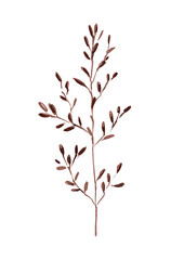 Watercolor dry branch illustration