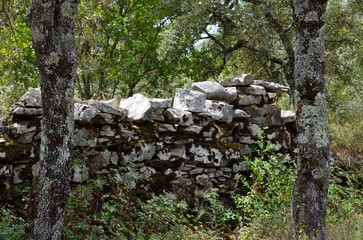 Fototapeta premium Muro de piedra junto al Via Crucis en el Camino de los Pastorcitos, Fátima, Portugal