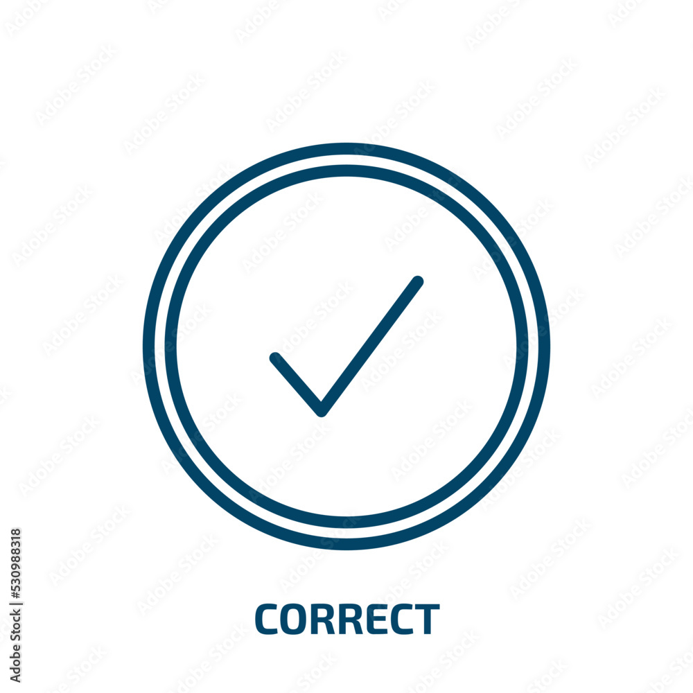 Poster correct icon from user interface collection. thin linear correct, tick, mark outline icon isolated o