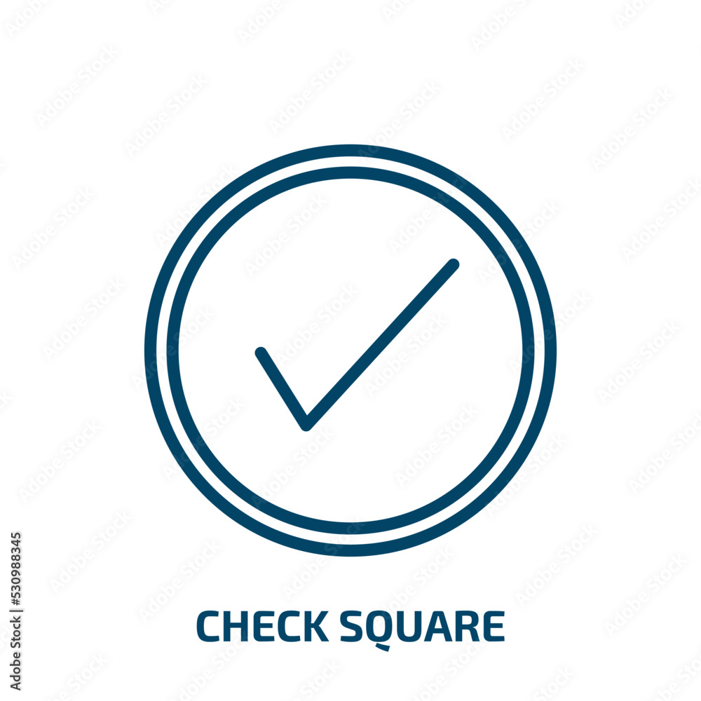 Poster check square icon from user interface collection. thin linear check square, square, check outline ic