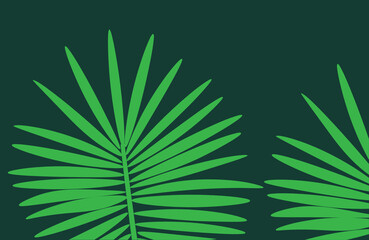 Fototapeta premium Palm tree leaf on dark green background.