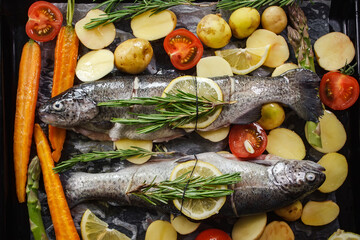 Grilled sea bass fish with aromatic herbs and vegetables