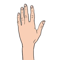 Sketch hand, palm turned up, open gesture, concept illustration