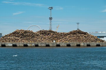 cut timber. catastrophic deforestation. sawn wood stored in the port.