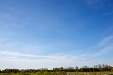 Obraz premium Beautiful summer rural landscape. Meadow with trees and grass against the clouds sky
