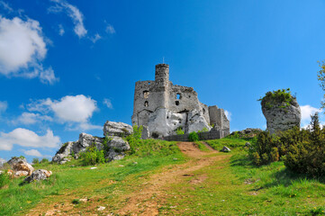 Fototapeta premium Ruins of 14th century castle located in the Mirow village, Silesian Voivodeship, Poland.