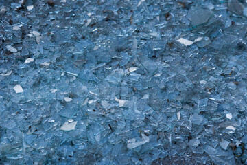 Shattered Glass. Background as broken pieces or crocks of white glass on the ground outdoors. Pine needles between glass pieces.