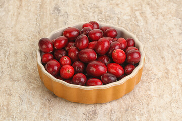 Ripe sweet tasty cranberry in the bowl