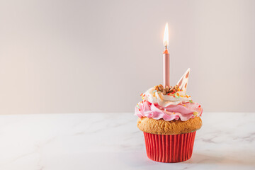 Naklejka na ściany i meble Gourmet Birthday Cupcake with Candle