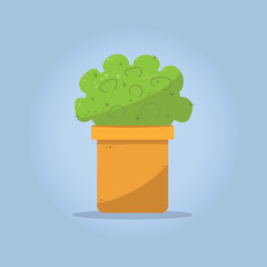 Cactus and succulent in pot domestic colorful cartoon vector illustration. Decorative flower plant. Isolated icon cacti